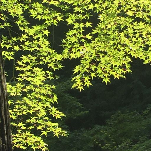 Shifted out of place (Eclectic Playlist Series 7.03)