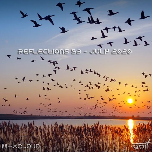 Reflections 53 - July 2020 / rooted