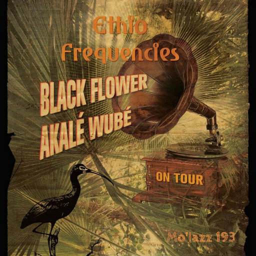 Mo'Jazz 193: Ethio Frequencies