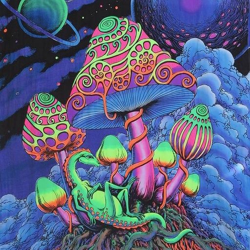 Acid Breaks Mycology 10th May