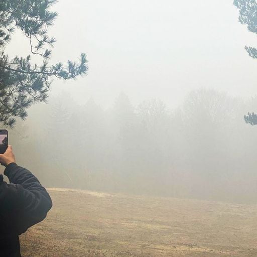 Orpheu The Wizard - 20th March 2026