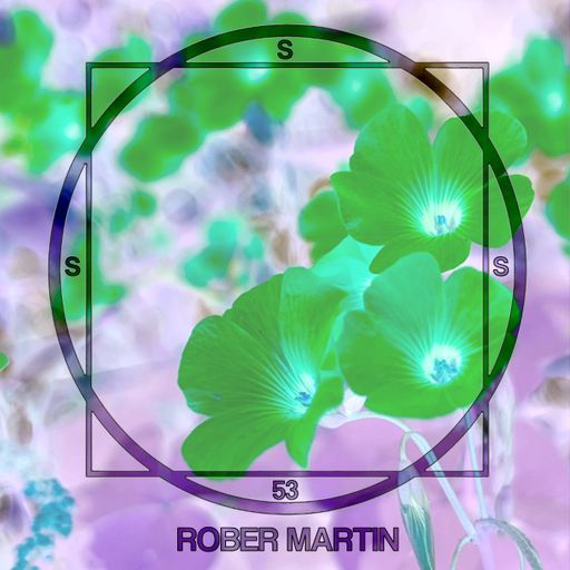 Secret Sun Society #53 ROBER MARTIN