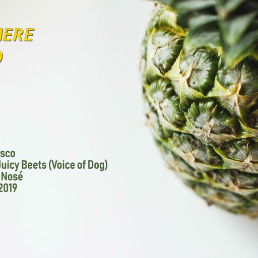 Dub Disco #23 w/ Dj Juicy Beets (Voice of Dog) & Serj Nosé 07.03.2019