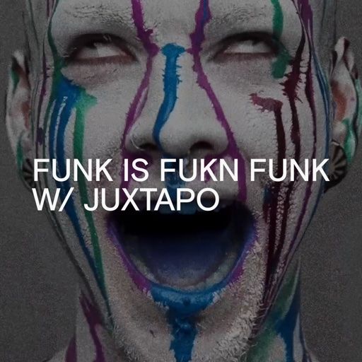 Funk Is Fun Funk