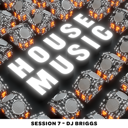 House Music Session 7 - Dj Briggs