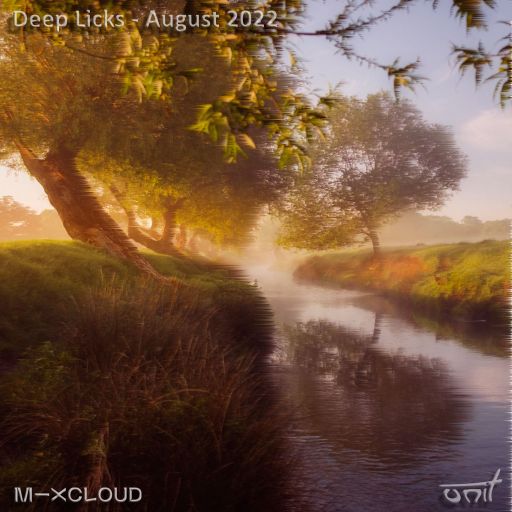 Deep Licks - August 2022
