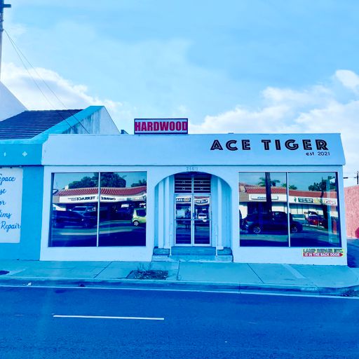 Ace Tiger opening 12/02/23 by Segu