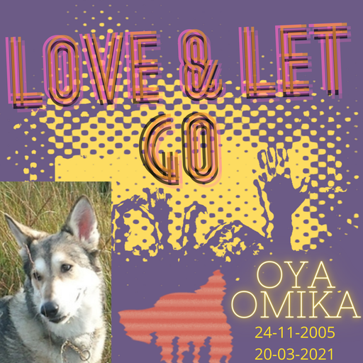 Love & Let GO....