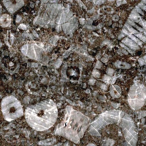 Sendspaace w/ Sam Ridout - 8th November 2025