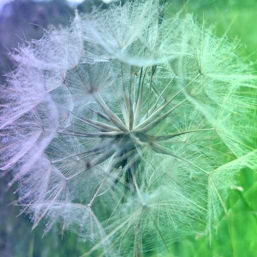 Saturday sessions (16/12/23)