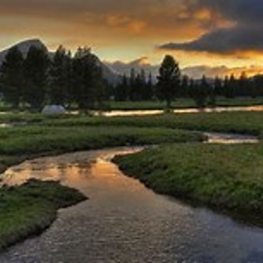 Grandchester Meadows (ChillProgRockPop)