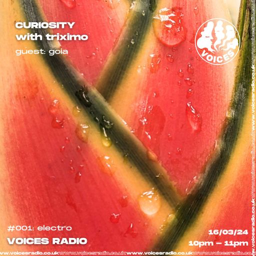 Curiosity w: Triximo & GOIA AMO 16.04.24  - Voices Radio
