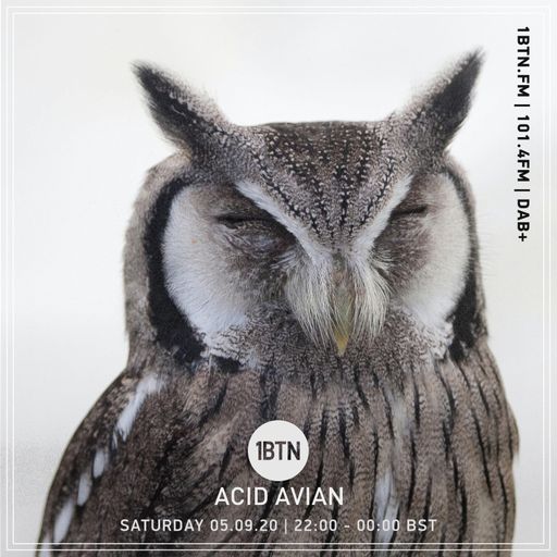 Acid Avian - 05.09.2020