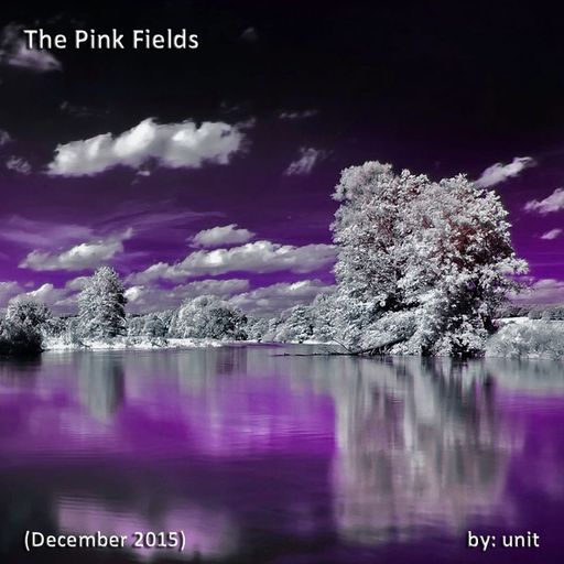 The Pink Fields - December 2015