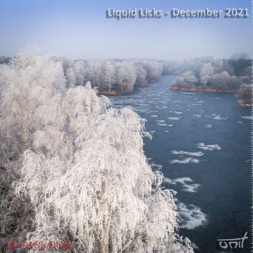 Liquid Licks December 2021