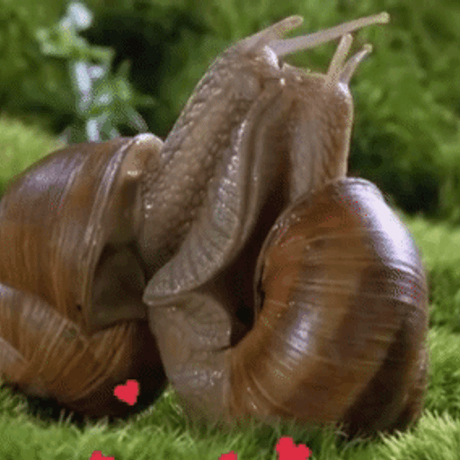 Perlmutt aka Pearlescent Romantisch und Herzschmerz #15 28.02.2019