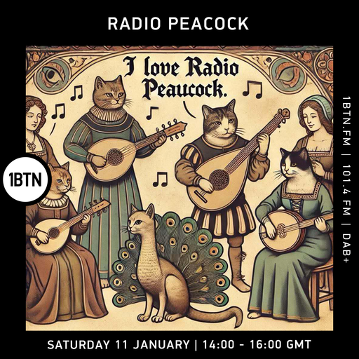 Radio Peacock - 11.01.25