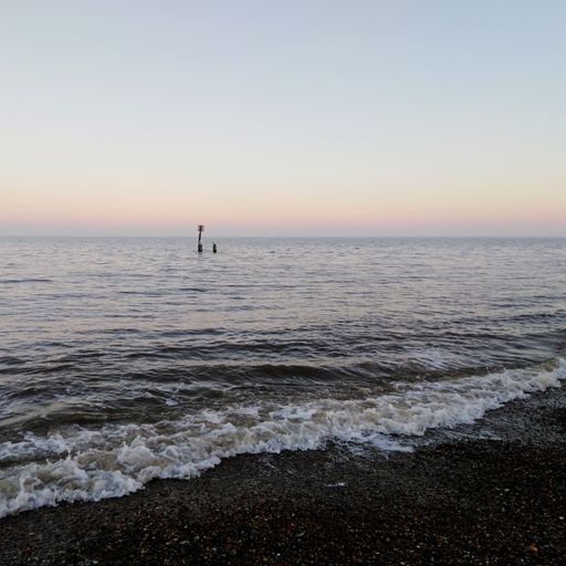 Littoral Transmissions #44 - Flutter Echo - 22nd March 2023