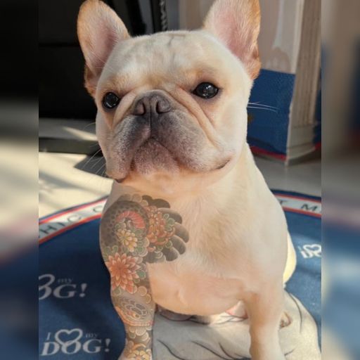 DJ'YE【Ah Hao Private Mix V5 VVIP】《Discobudots - Tyai X Sura - Queen Bee X 樹澤 - 後來的你在哪》Mixtape 2x22