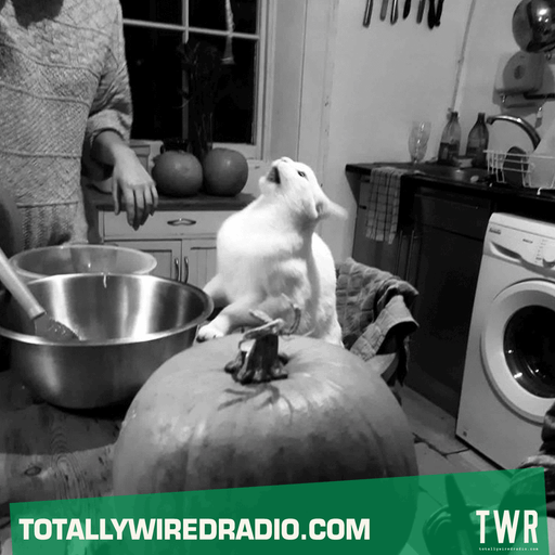 Seek'n'Peak - Logas ~ 13.10.23