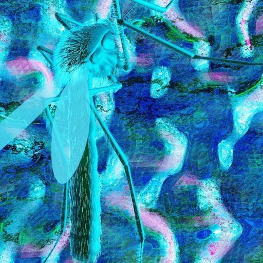 MASKITÁ - BITTEN BY MASKITÁ - 12th December 2025