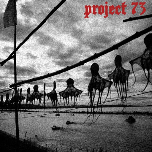Project 73 — Evening of Light Version
