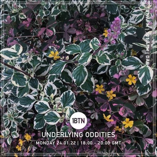 Underlying Oddities - 24.01.2022