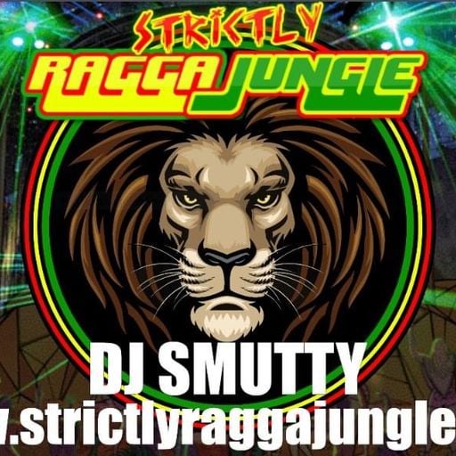Strictly Ragga Jungle Radio #50 Back on the Vinyl