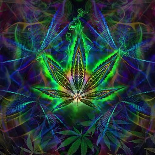 Hemp Revolution 30-1-2020 Extended Live in Forte dei Marmi