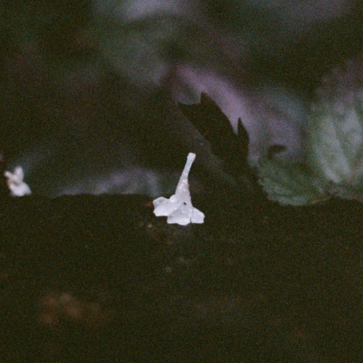 First Light's Third Space #16 - unperson & Elif Gülin Soğuksu - 18th September 2023
