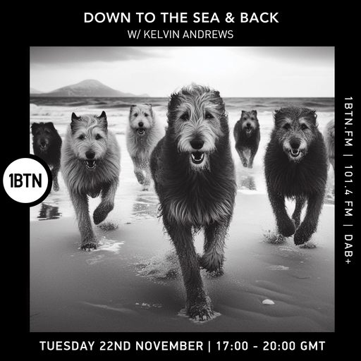Down To The Sea & Back w/ Kelvin Andrews - 22.11.23