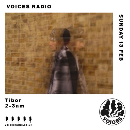 Tibor - 12/02/22