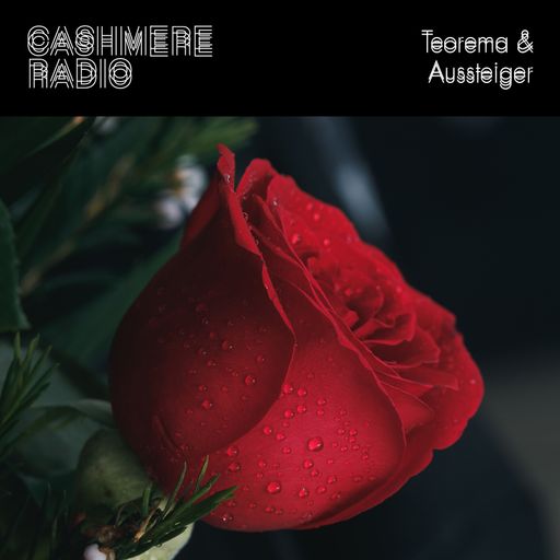 Dub Disco #31 with Teorema & Aussteiger 21.11.2019