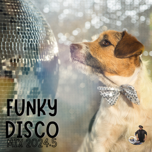 Funky Disco House Mix 2024.5