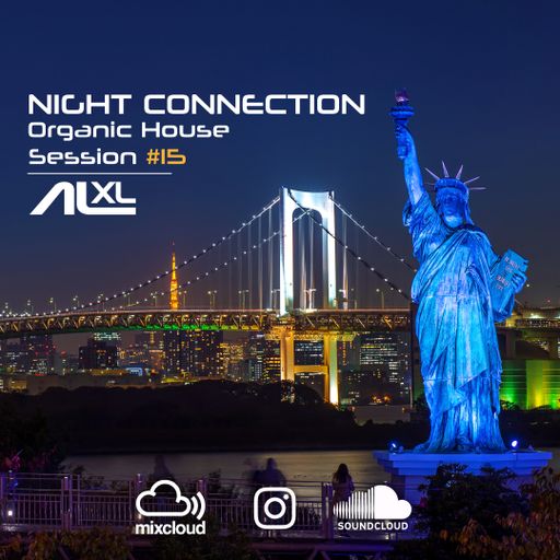 New NIGHT CONNECTION #15 FEB 2023 (Organic House) Exclusive Mix