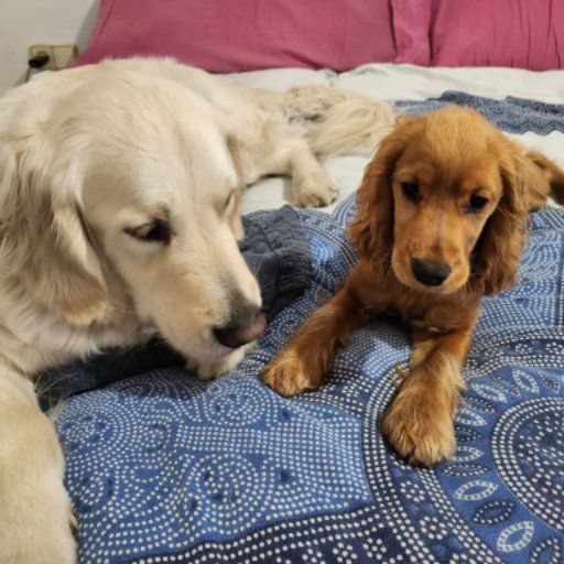 Fab's Easter Weekender