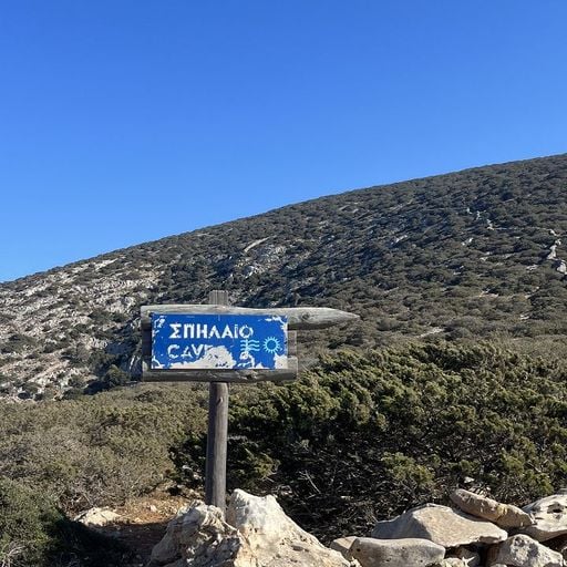 La Vida es un Mus - Forward To The Caves - 19th March 2026