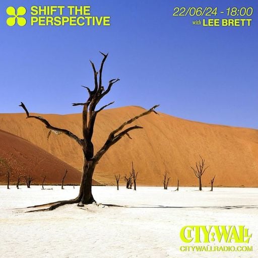 Shift The Perspective w/ Lee Brett - June 2024
