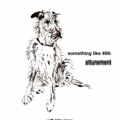 Something Like #66: Attunement, w/ Bitsy Knox 01.04.2026