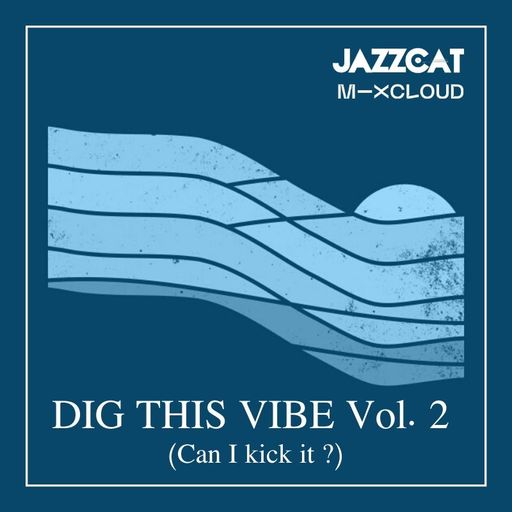 Dig this vibe vol. 2 (Can I kick it ?)