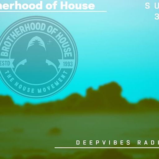 guest show cy lewis [THE BROTHERHOOD OF HOUSE]