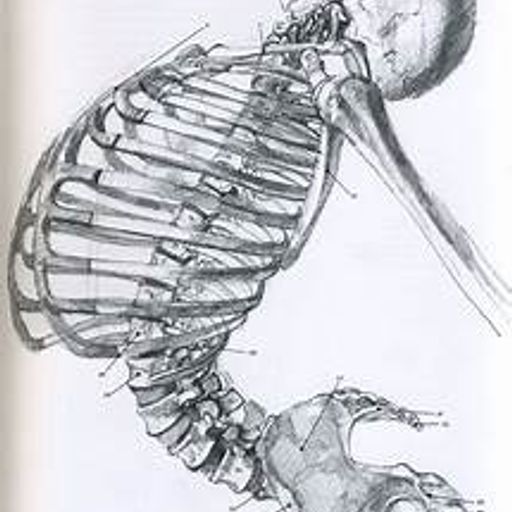 CORPOREAL - BODIES with Roxie and Eve (18/03/2018)