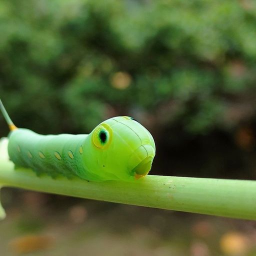 Getting Warmer w/ Jen Monroe - 11th March 2026