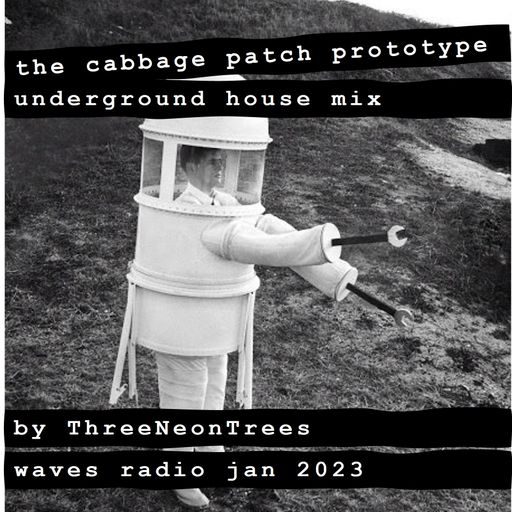 GUEST for Waves Radio by Adam ThreeNeonTrees