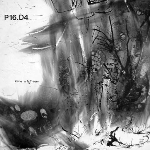 NICHTS NIEMAND NIRGENDS NIE! [P16.D4 and avatars vs S.B.O.T.H.I.] The Selektion years - PART TWO