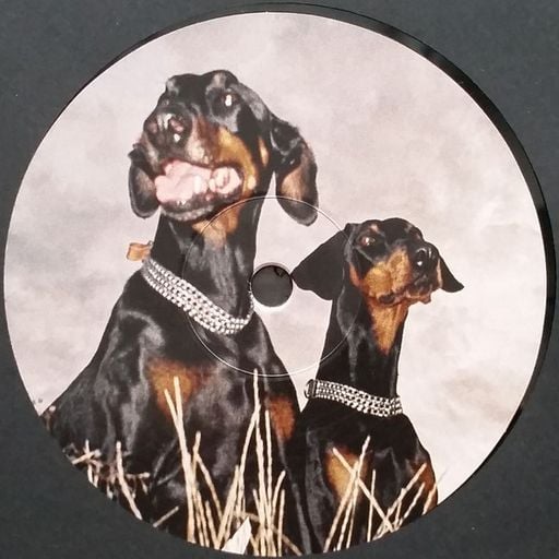 History of House 2020