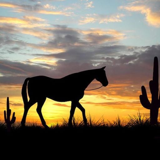 Gistro FM 687 (07/04/19) Horses