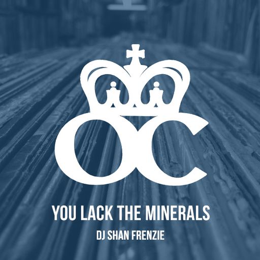 DJ Shan Frenzie - You Lack The Minerals
