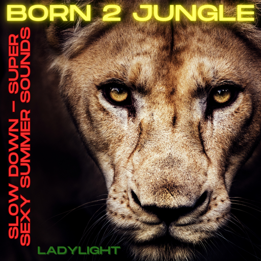Born 2 Jungle - Pt 17 - Slow Down, Super Sexy Summer Sounds