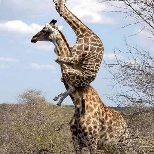 Steve Lewis wednsday simulcast with Too Hot Radio, Feel the vibe and share the stream.